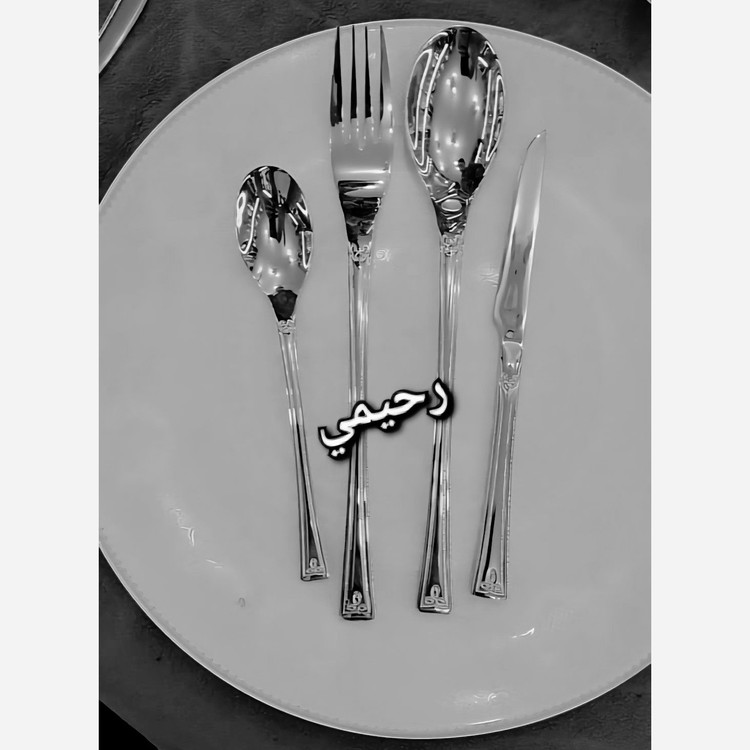 سرویس قاشق و چنگال 24 نفره 120پارچه اروپایی نقره ای ساده ( پس کرایه) مونیخ