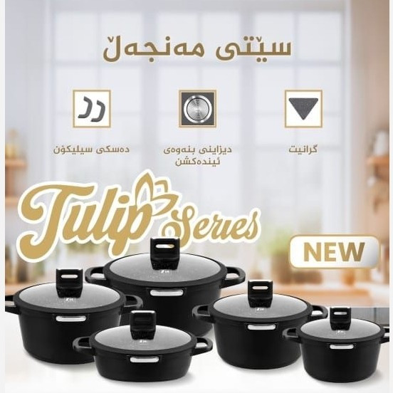 سرویس قابلمه زیو 10پارچه ترکیه سری ژولیپ zio 8620 و 8610 (( هزینه ارسال درب منزل)) آرام پز